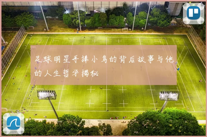 足球明星手捧小鸟的背后故事与他的人生哲学揭秘