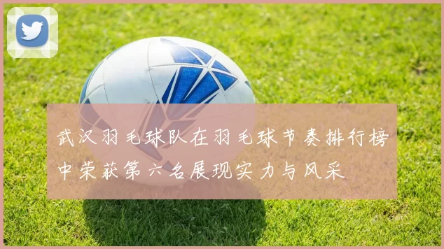 武汉羽毛球队在羽毛球节奏排行榜中荣获第六名展现实力与风采