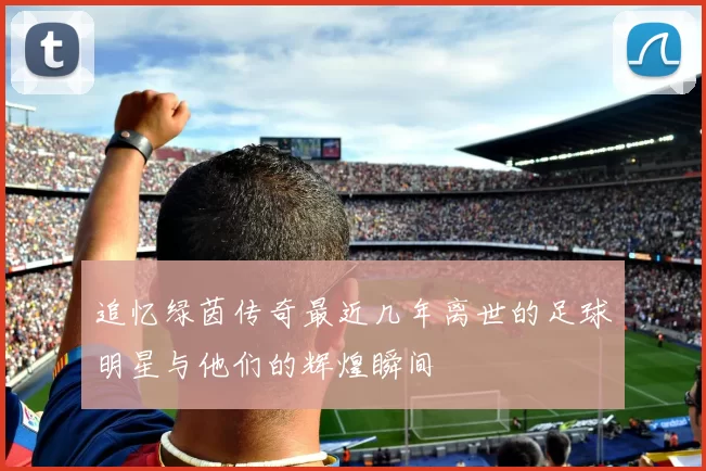 追忆绿茵传奇最近几年离世的足球明星与他们的辉煌瞬间