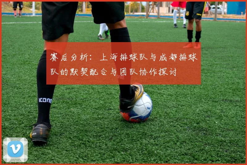 赛后分析：上海排球队与成都排球队的默契配合与团队协作探讨