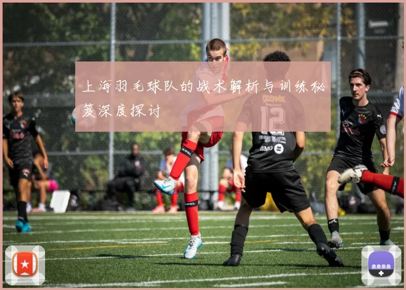 上海羽毛球队的战术解析与训练秘笈深度探讨