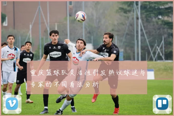 重庆篮球队灵活性引发热议球迷与专家的不同看法分析