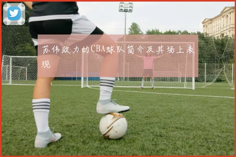 苏伟效力的CBA球队简介及其场上表现