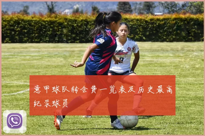 意甲球队转会费一览表及历史最高纪录球员