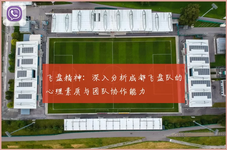飞盘精神：深入分析成都飞盘队的心理素质与团队协作能力