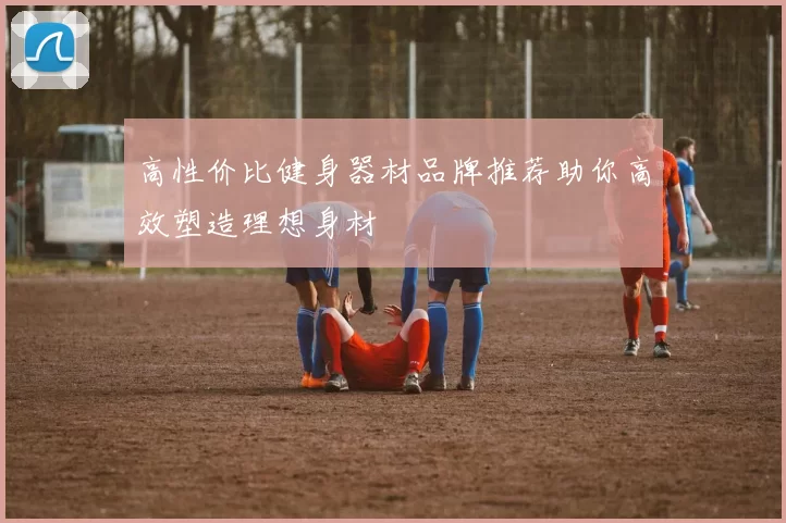 高性价比健身器材品牌推荐助你高效塑造理想身材