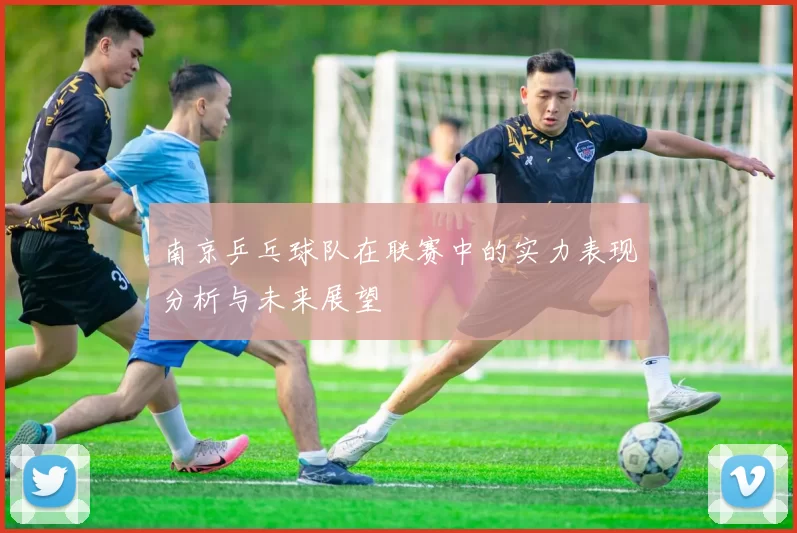 南京乒乓球队在联赛中的实力表现分析与未来展望