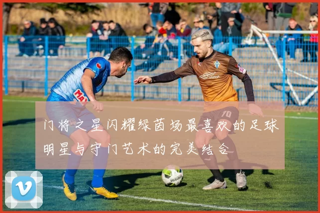 门将之星闪耀绿茵场最喜欢的足球明星与守门艺术的完美结合