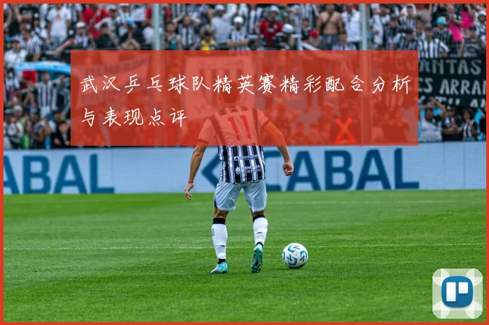 武汉乒乓球队精英赛精彩配合分析与表现点评