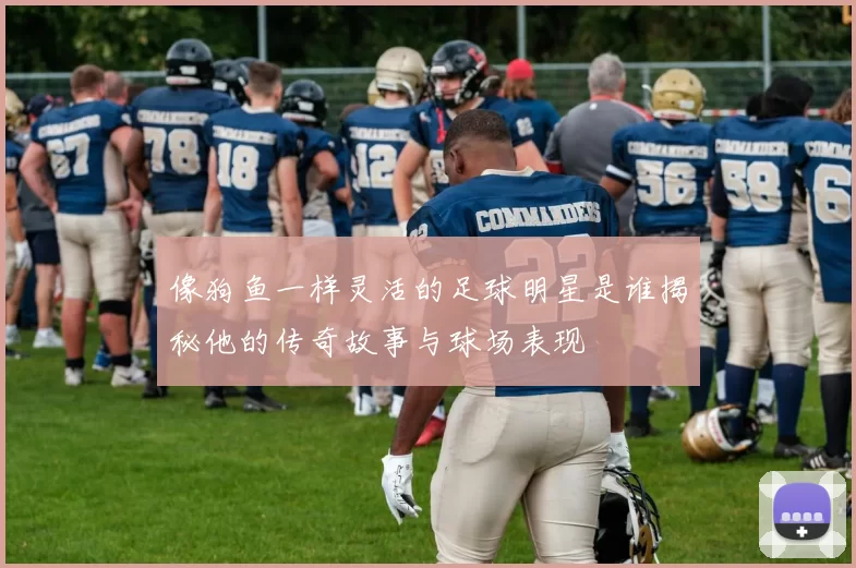 像狗鱼一样灵活的足球明星是谁揭秘他的传奇故事与球场表现