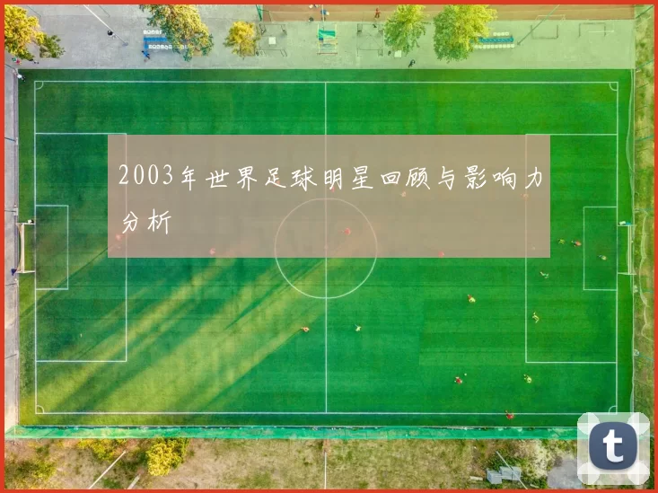 2003年世界足球明星回顾与影响力分析