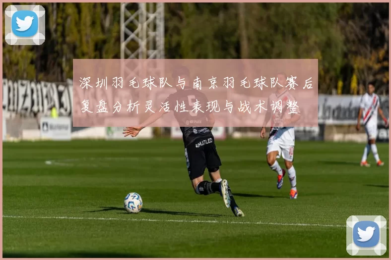 深圳羽毛球队与南京羽毛球队赛后复盘分析灵活性表现与战术调整