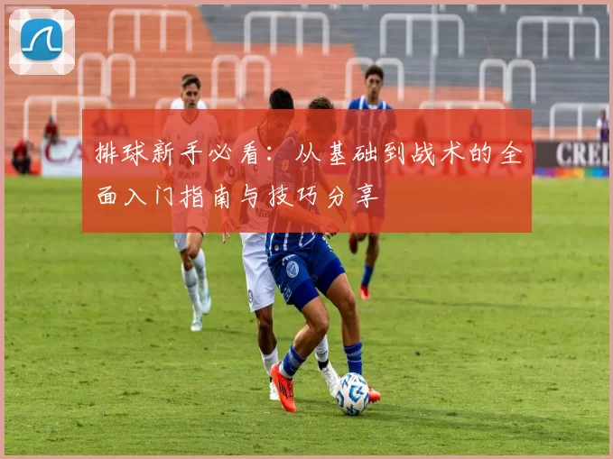 排球新手必看：从基础到战术的全面入门指南与技巧分享