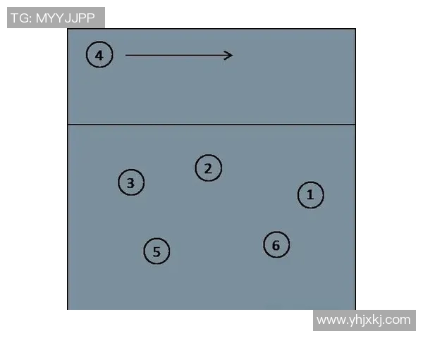 排球新手必看：从基础到战术的全面入门指南与技巧分享