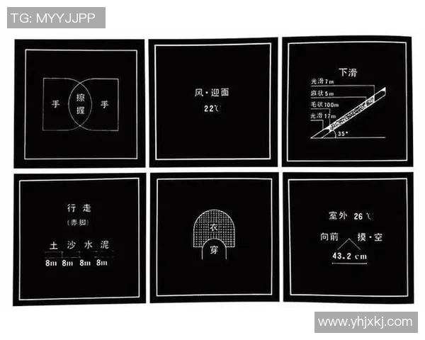 北京羽毛球队战术解析与实战应用的深度探讨与思考